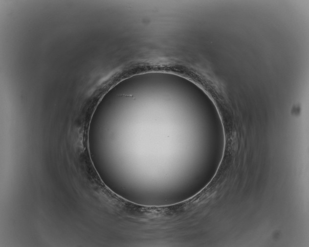 X0000096721205200802121240