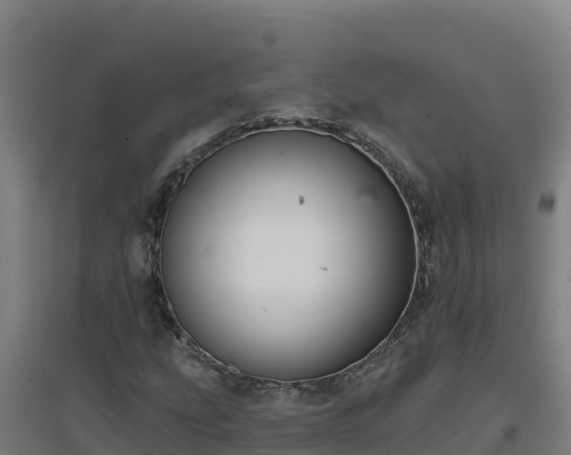 X0000096721207200802121240