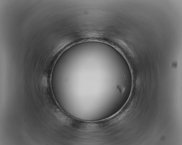 X0000096721209200802121240