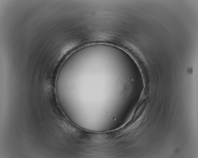 X0000096721210200802121240