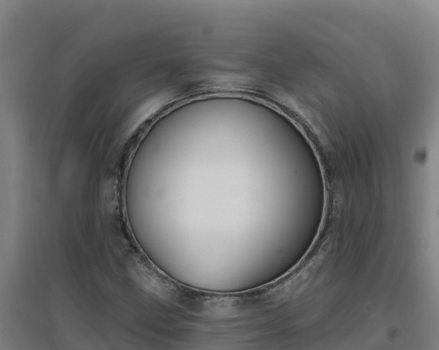 X0000096721211200802121240