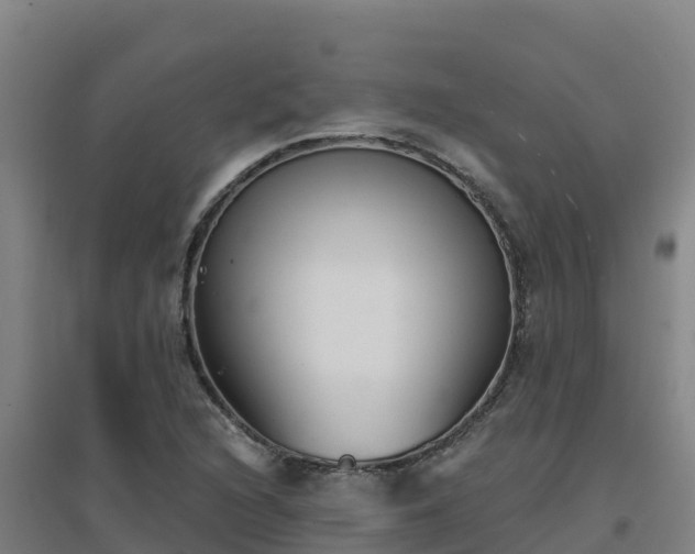 X0000096721216200802121241