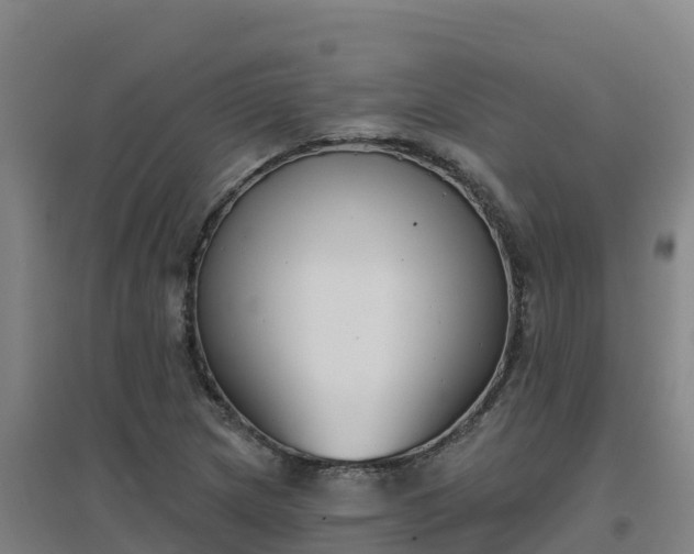 X0000096721217200802121241