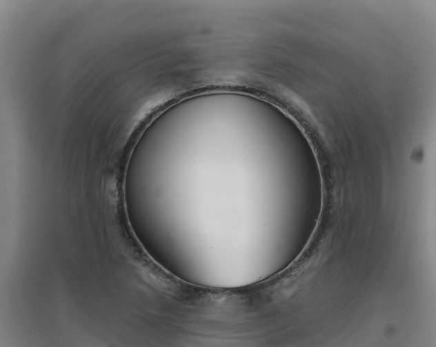 X0000096721218200802121241