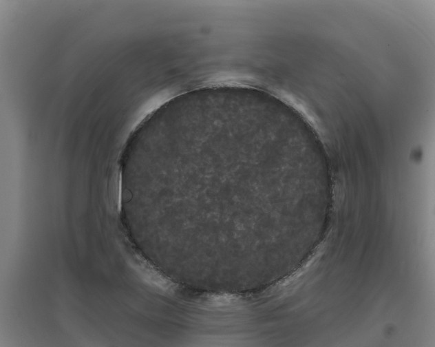 X0000096721219200802121241