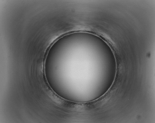 X0000096721220200802121241