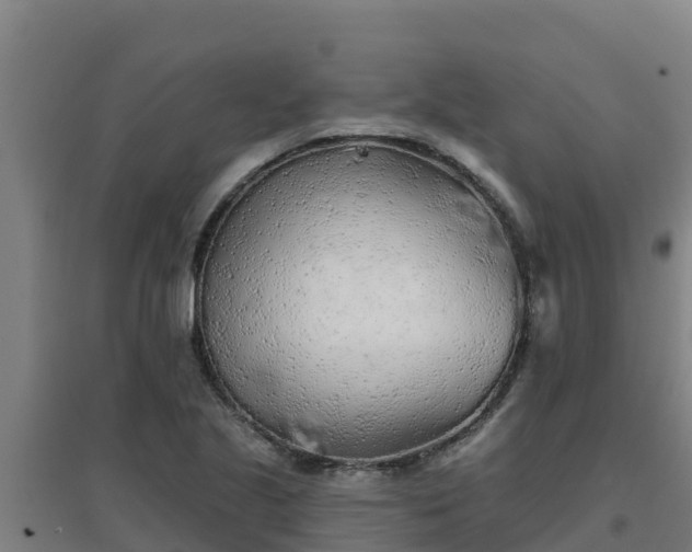 X0000096721221200802121241
