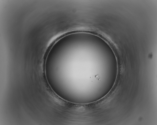 X0000096721222200802121241