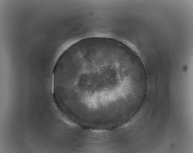 X0000096721223200802121241