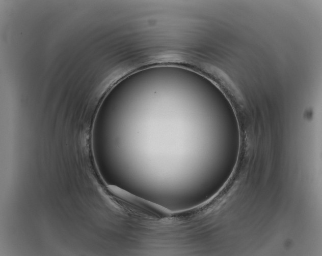 X0000096721225200802121241
