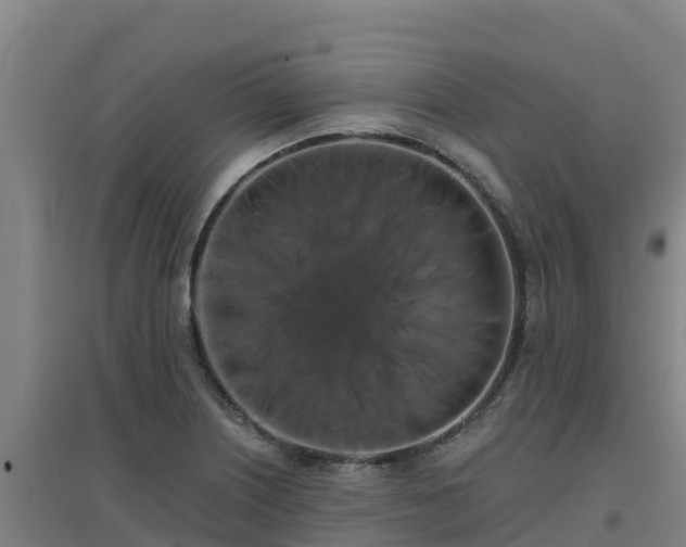 X0000096721226200802121241