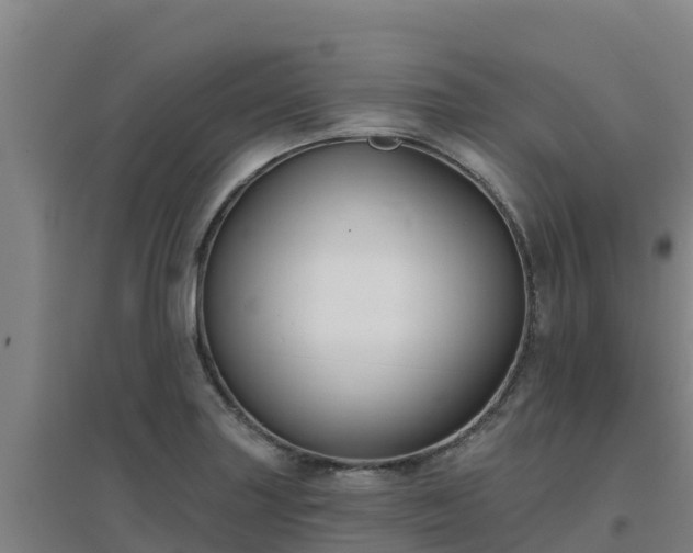 X0000096721227200802121241