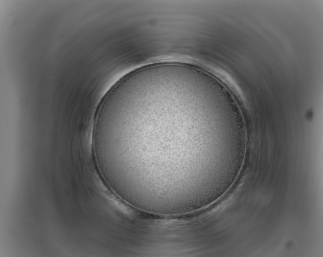 X0000096721228200802121241