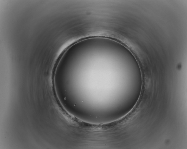 X0000096721230200802121241