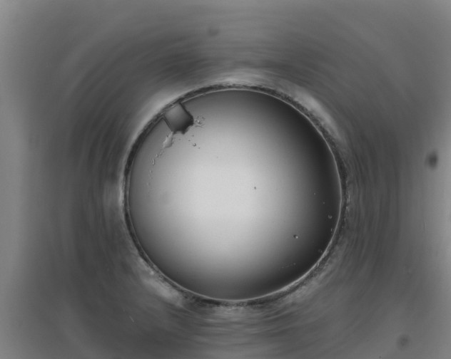 X0000096721232200802121241