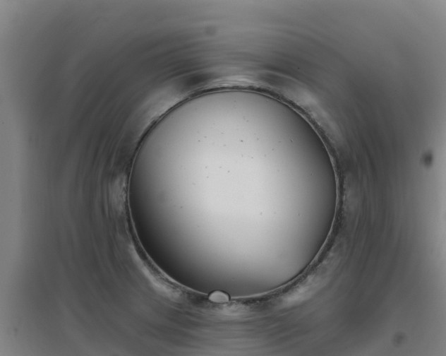 X0000096721233200802121241