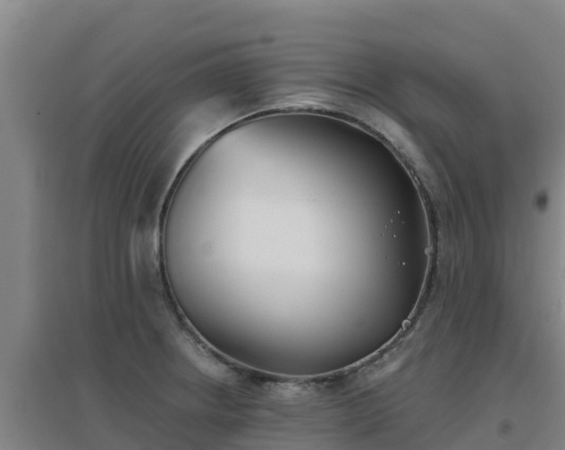X0000096721234200802121241
