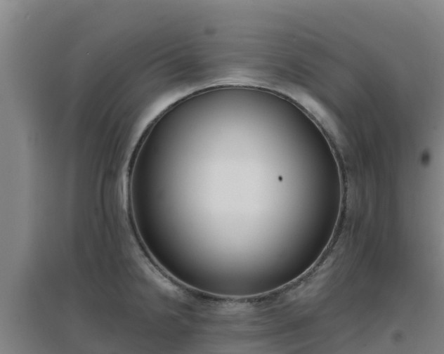 X0000096721238200802121241
