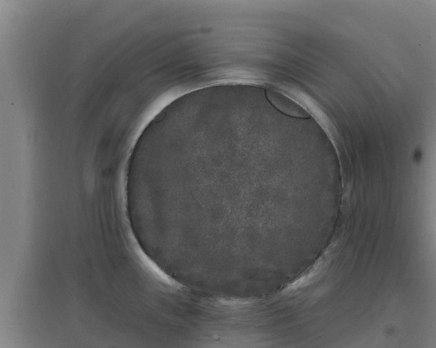X0000096721243200802121241