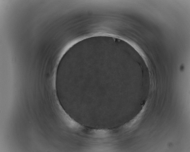 X0000096721246200802121241