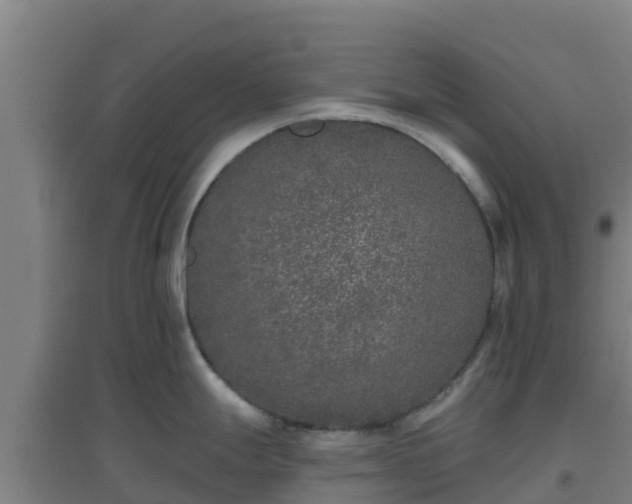 X0000096721247200802121241