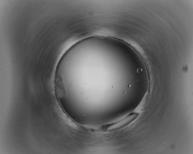X0000096721248200802121241