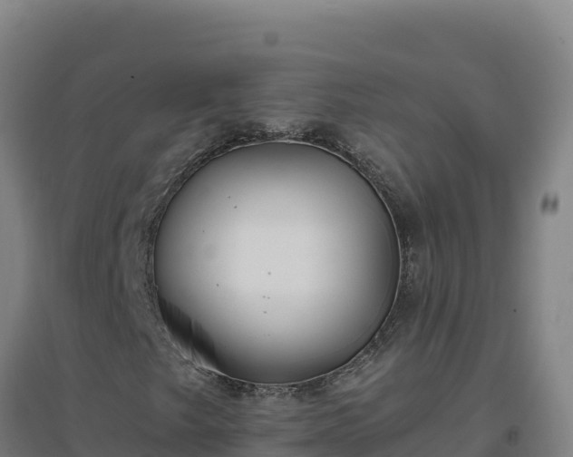 X0000096721249200802121240