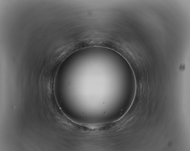X0000096721250200802121240