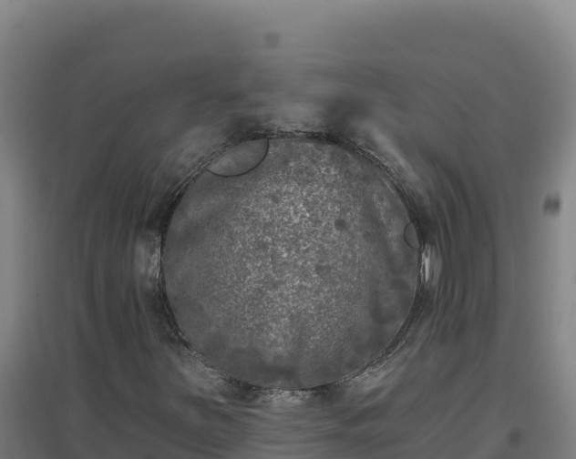 X0000096721251200802121240