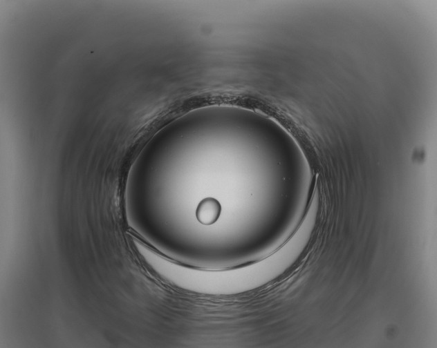 X0000096721252200802121240