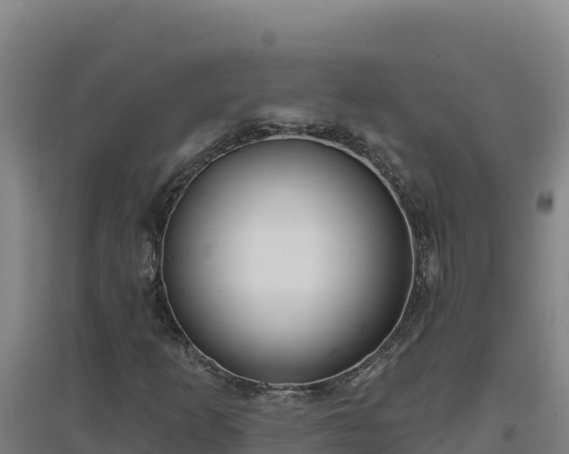 X0000096721253200802121240