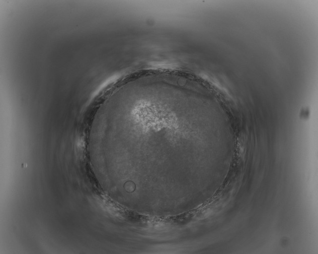 X0000096721254200802121240