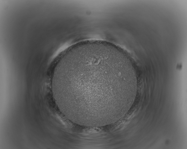 X0000096721255200802121240