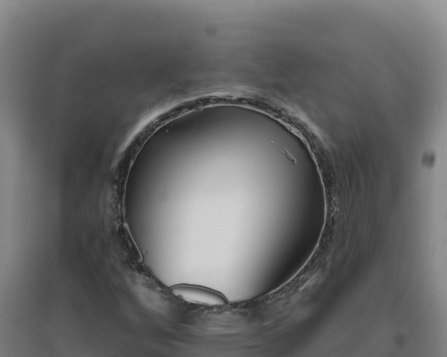 X0000096721256200802121240