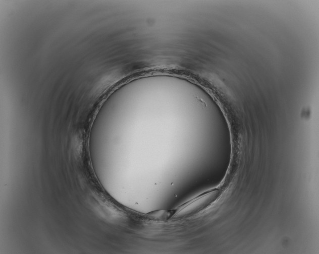 X0000096721257200802121240
