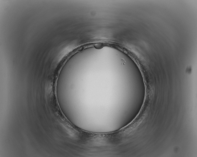 X0000096721259200802121240