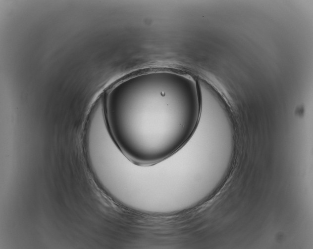 X0000096721260200802121240