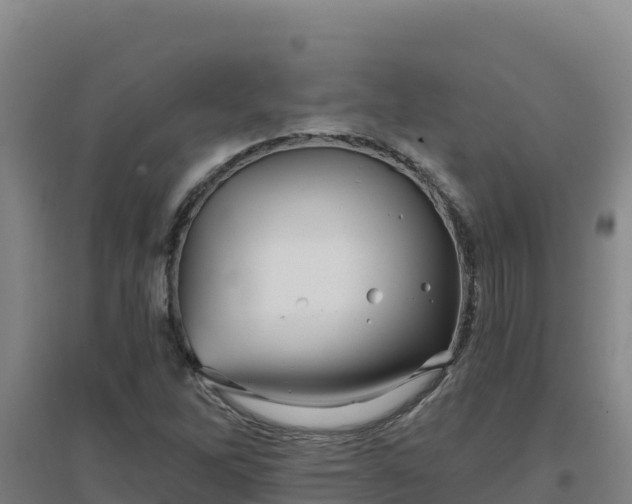 X0000096721262200802121240