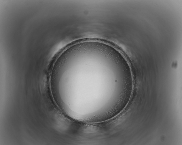 X0000096721263200802121240