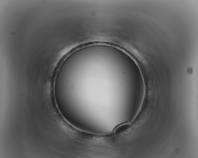 X0000096721264200802121240