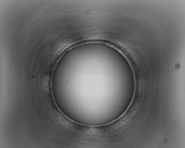 X0000096721265200802121240