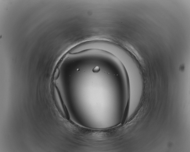 X0000096721268200802121240