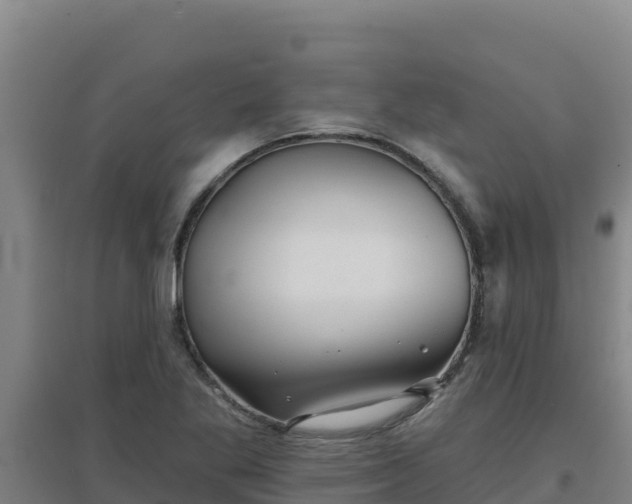 X0000096721269200802121240