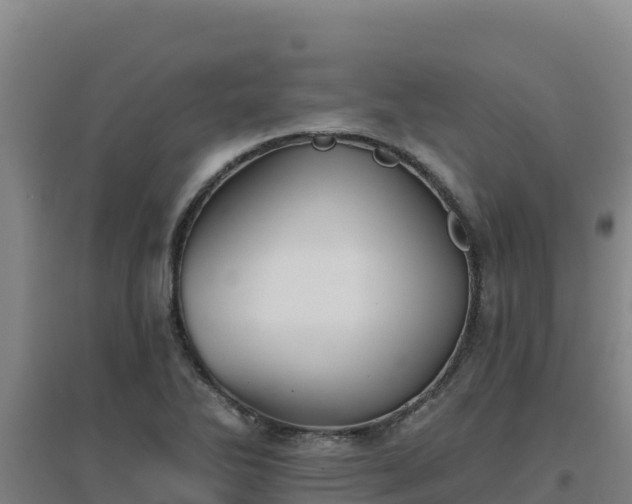 X0000096721270200802121240