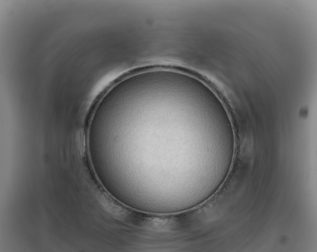 X0000096721271200802121240