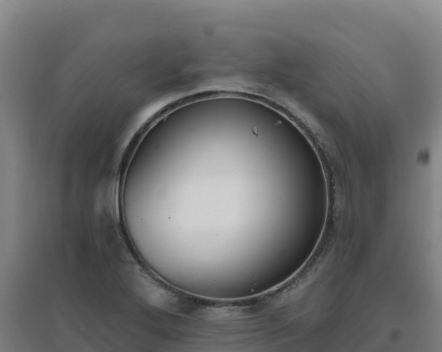 X0000096721272200802121240