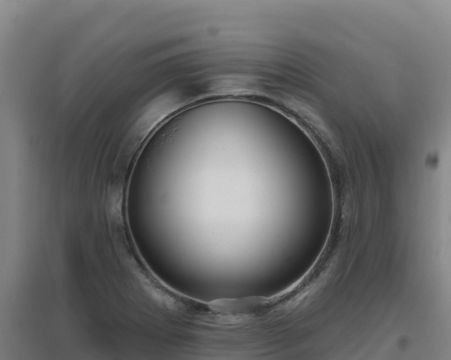 X0000096721273200802121240
