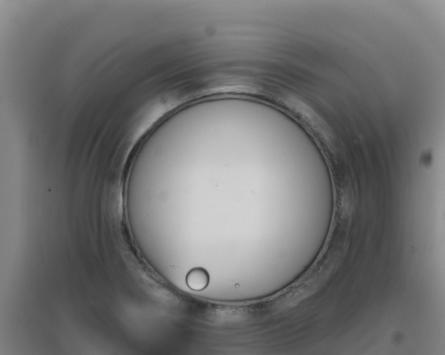 X0000096721274200802121240