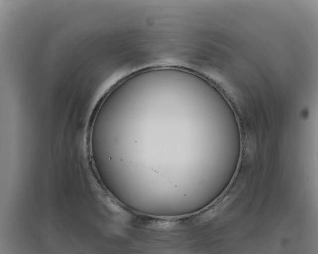X0000096721278200802121240