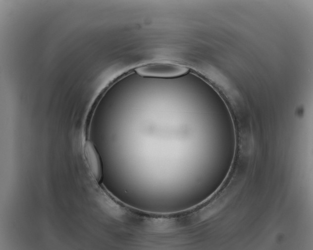 X0000096721280200802121240